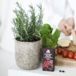 Dr.OHHIRA® DELUXE gerosios bakterijos - Image 2